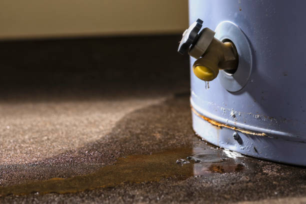 Best Water damage restoration near me  in Herndon, VA