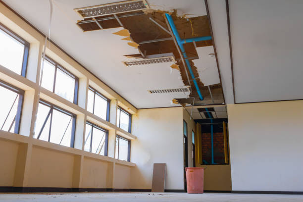 Water damage restoration experts in VA
