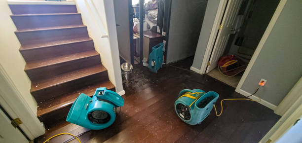 Best Water damage contractors near me  in Herndon, VA