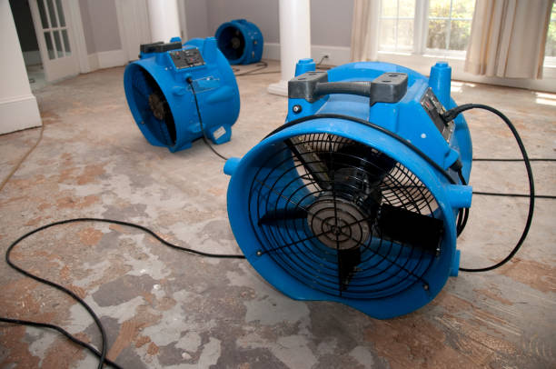 Best Water damage restoration near me  in Herndon, VA