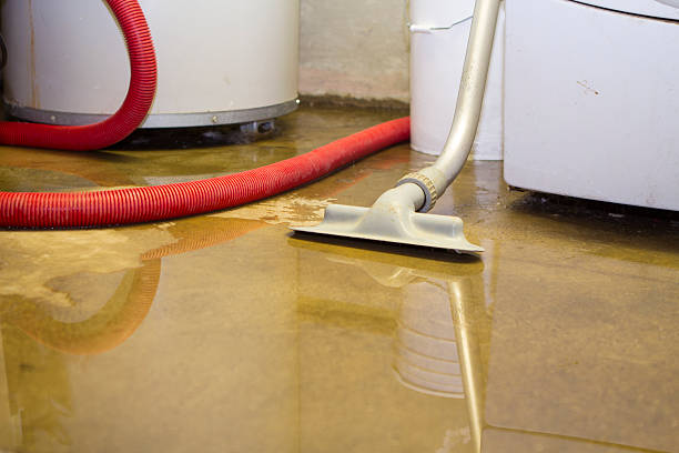 Best Basement water damage restoration  in Herndon, VA