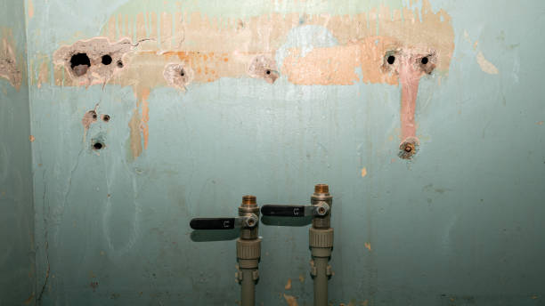 Best Ceiling water damage repair  in Herndon, VA