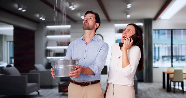 Best Local water damage restoration  in Herndon, VA