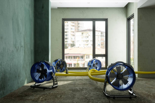 Best Sewage cleanup and water damage restoration  in Herndon, VA